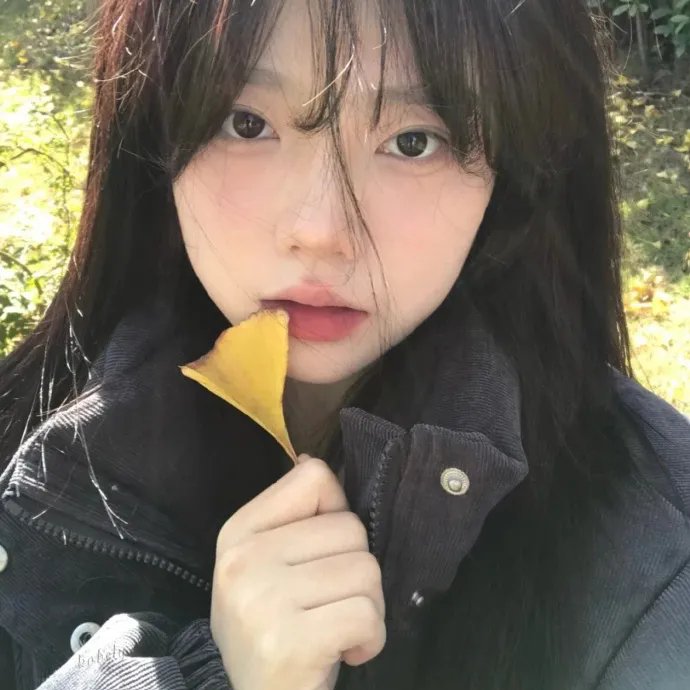 大导归来